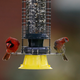 Image for article titled Don't Trust The Birds